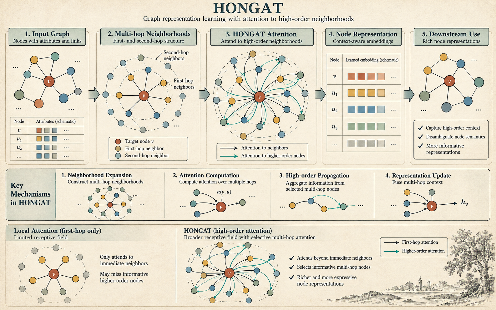 HONGAT: Graph Attention Networks in the Presence of High-Order Neighbors.